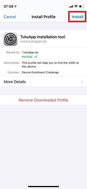 Confirma la instalación del perfil de TutuApp.